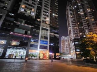 Bán căn hộ 160m2 ,n05 trần duy hưng, hoàng đạo thúy