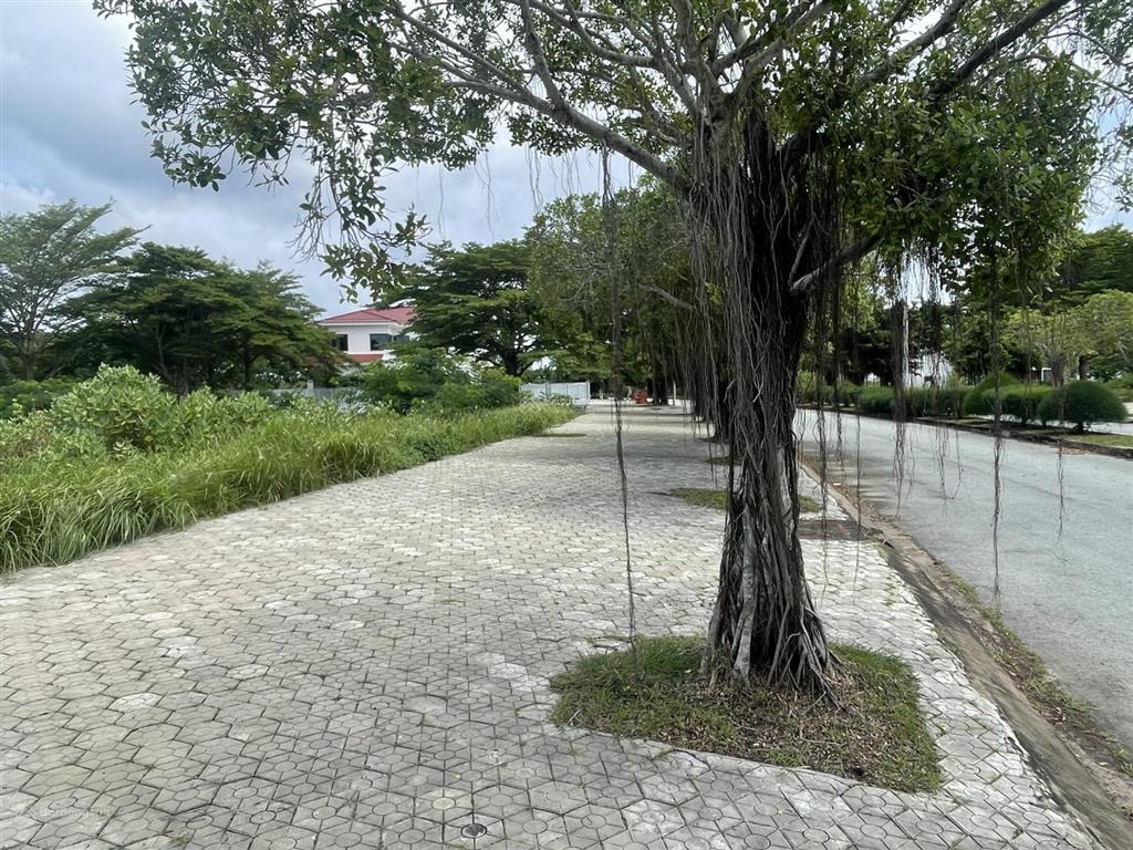 Mặt tiền lương văn nho 110m2 chỉ 6,5 tỷ, vị trí cực đẹp