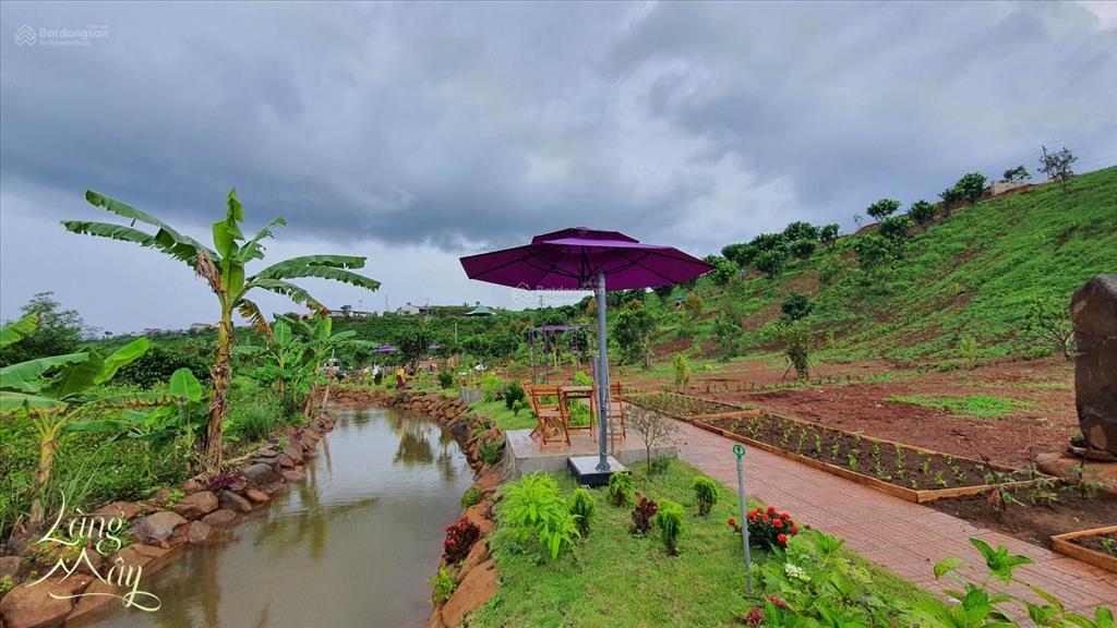 Chính chủ bán nhà phố vườn nghỉ dưỡng xinh đẹp tại thác đambri bảo lộc  bình yên giữa thiên nhiên