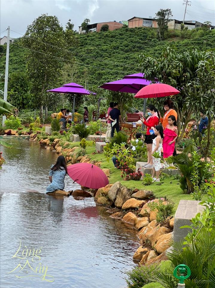Chính chủ bán nhà phố vườn nghỉ dưỡng xinh đẹp tại thác đambri bảo lộc  bình yên giữa thiên nhiên