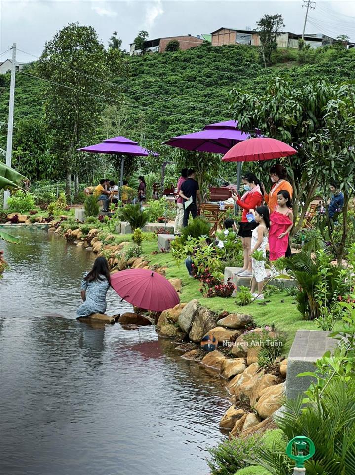 Chính chủ giảm 1.5 tỷ bán lô đất biệt thự cạnh thác đambri hơn 1000m2, 200m2 thổ cư