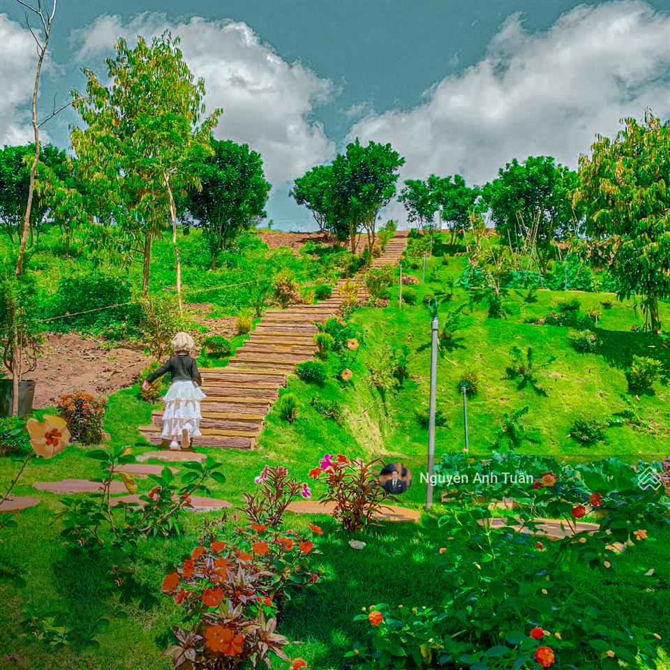 Chính chủ giảm 1.5 tỷ bán lô đất biệt thự cạnh thác đambri hơn 1000m2, 200m2 thổ cư