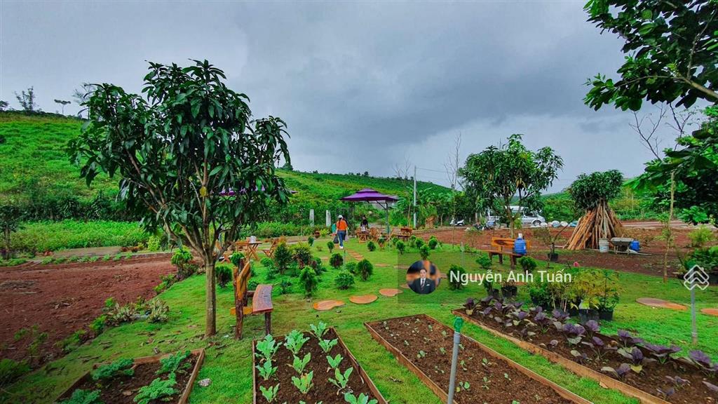 Chính chủ giảm 1.5 tỷ bán lô đất biệt thự cạnh thác đambri hơn 1000m2, 200m2 thổ cư