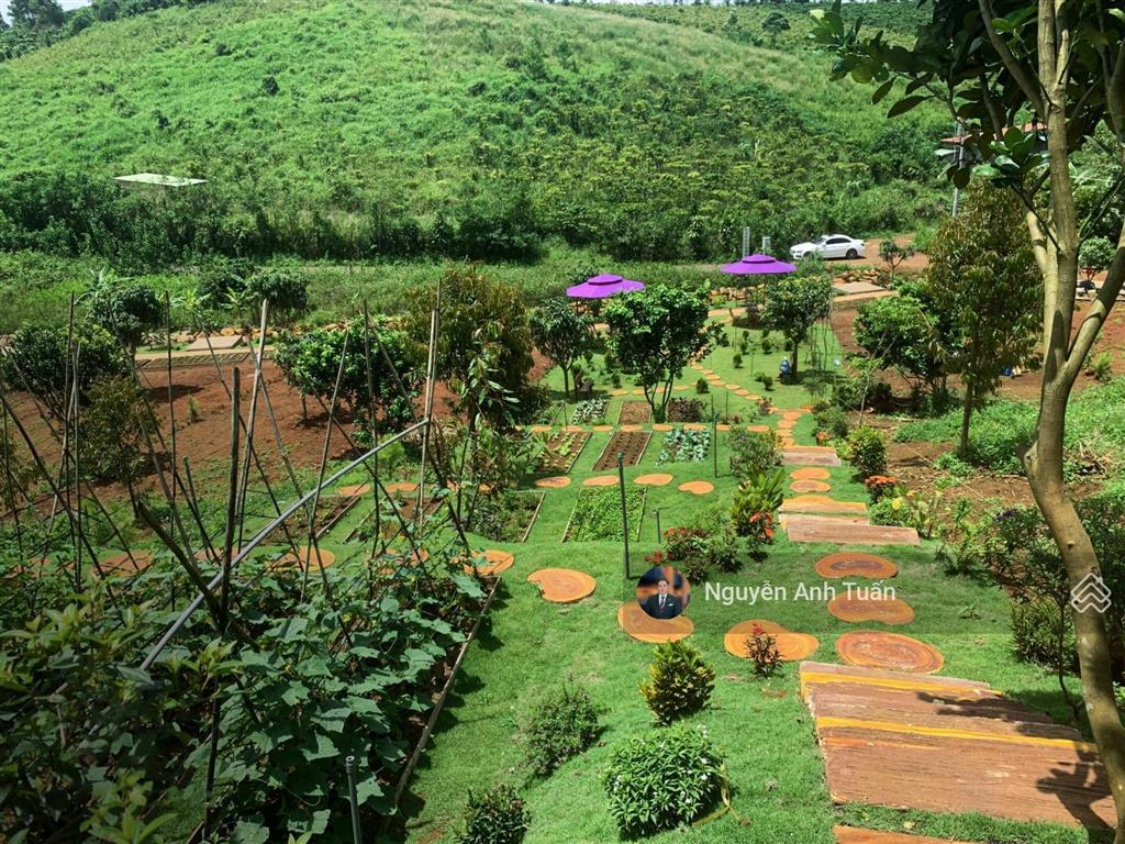 Chính chủ giảm 1.5 tỷ bán lô đất biệt thự cạnh thác đambri hơn 1000m2, 200m2 thổ cư