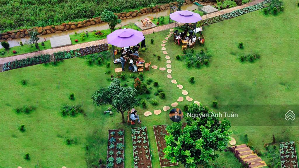 Chính chủ giảm 1.5 tỷ bán lô đất biệt thự cạnh thác đambri hơn 1000m2, 200m2 thổ cư