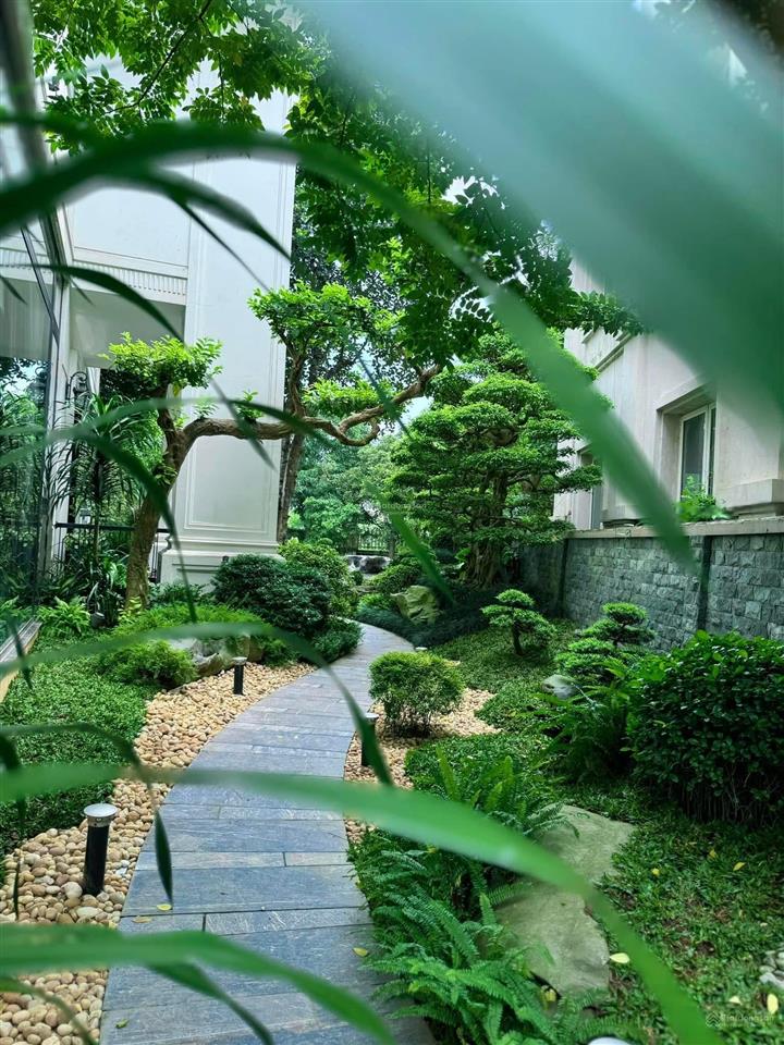 Bán đơn lập anh đào 9, vườn hoa. 366m, hoàn thiện đẹp, điểm sông rộng đẹp nhất trung tâm riverside
