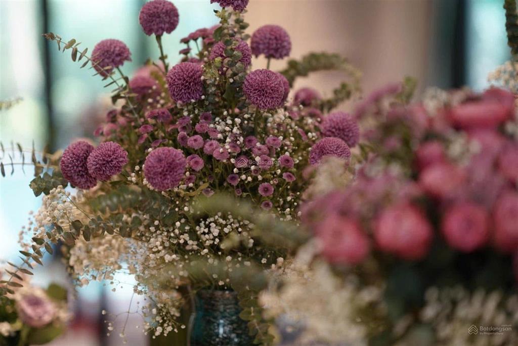 Bán bt hoa phượng. 178m2. đn, mặt tiền 10m, sông trước nhà, hoàn thiện đẹp, thang máy, giá 55 tỷ