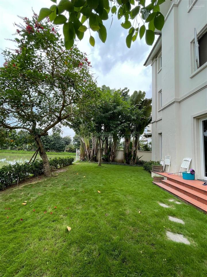 Bán đơn lập bằng lăng 02  07. đn, 495m2, nhà thô. đất vuông, gần ngã ba sông rộng, giá 175 tỷ