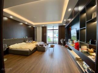 Bán gấp biệt thự siêu đẹp gần lê hồng phong giảm giá từ gần 30 tỷ xuống 22.5 tỷ. 0378 478 ***