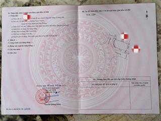 Siêu phẩm lô góc cực đẹp tại đấu giá suối rồng giá 2x tr/m2