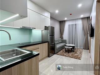 Phố vip láng hạ, 66m2, 13 phòng, dòng tiền 90 triệu/tháng, hai mặt ngõ thông, mới đẹp, đủ nội thất