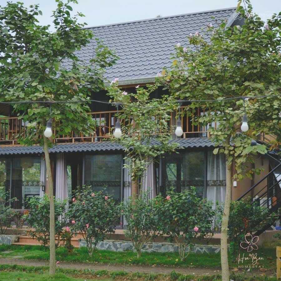 Hạ giá căn homestay tại cao sơn, lương sơn, hòa bình. siêu đẹp