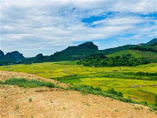 Siểu phẩm! 9.225m2 view panorama toàn cảnh ruộng bậc thang! đẹp như sapa tại lương sơn  hòa bình