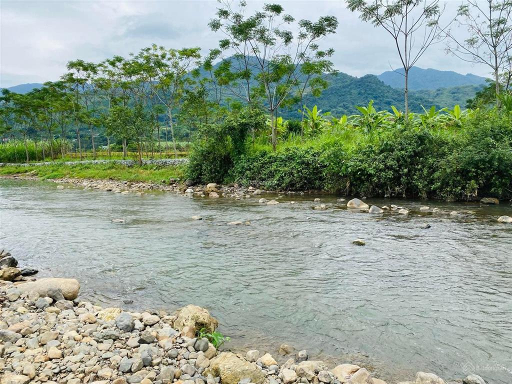 Cần bán lô đất bám suối view siêu đẹp tại kim bôi  hoà bình  2770m²  2 tỷ 5