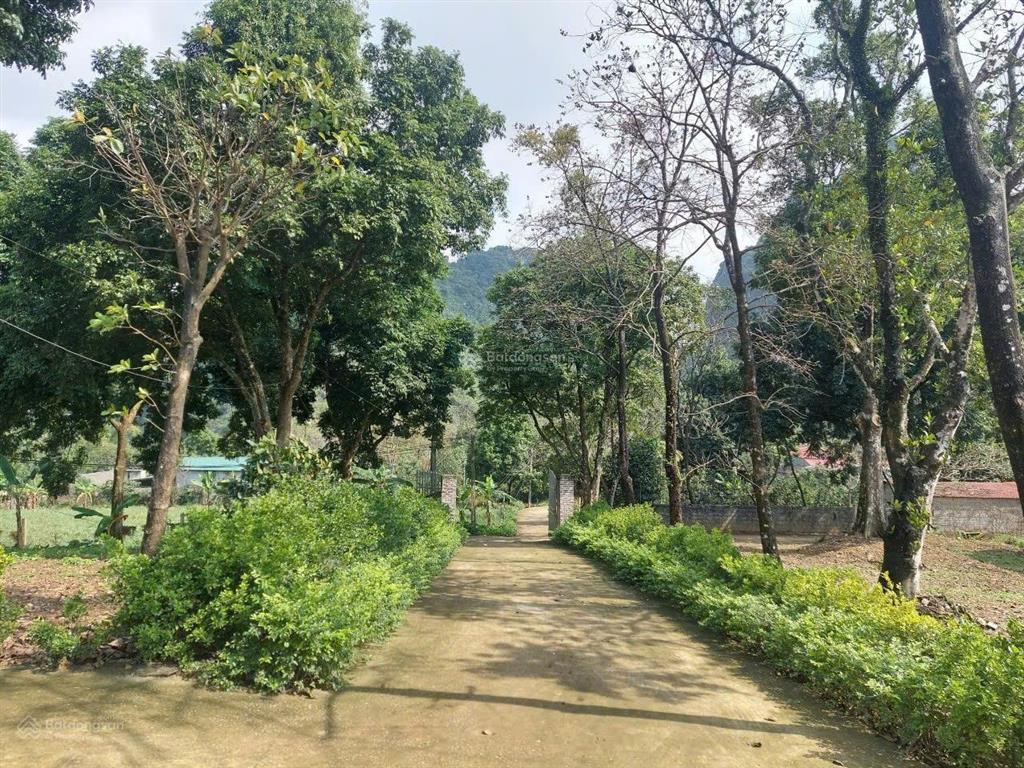 Sở hữu 14.500m2 đất cạnh đường vành đai 5 & khu nghỉ dưỡng lớn nhất lương sơn!