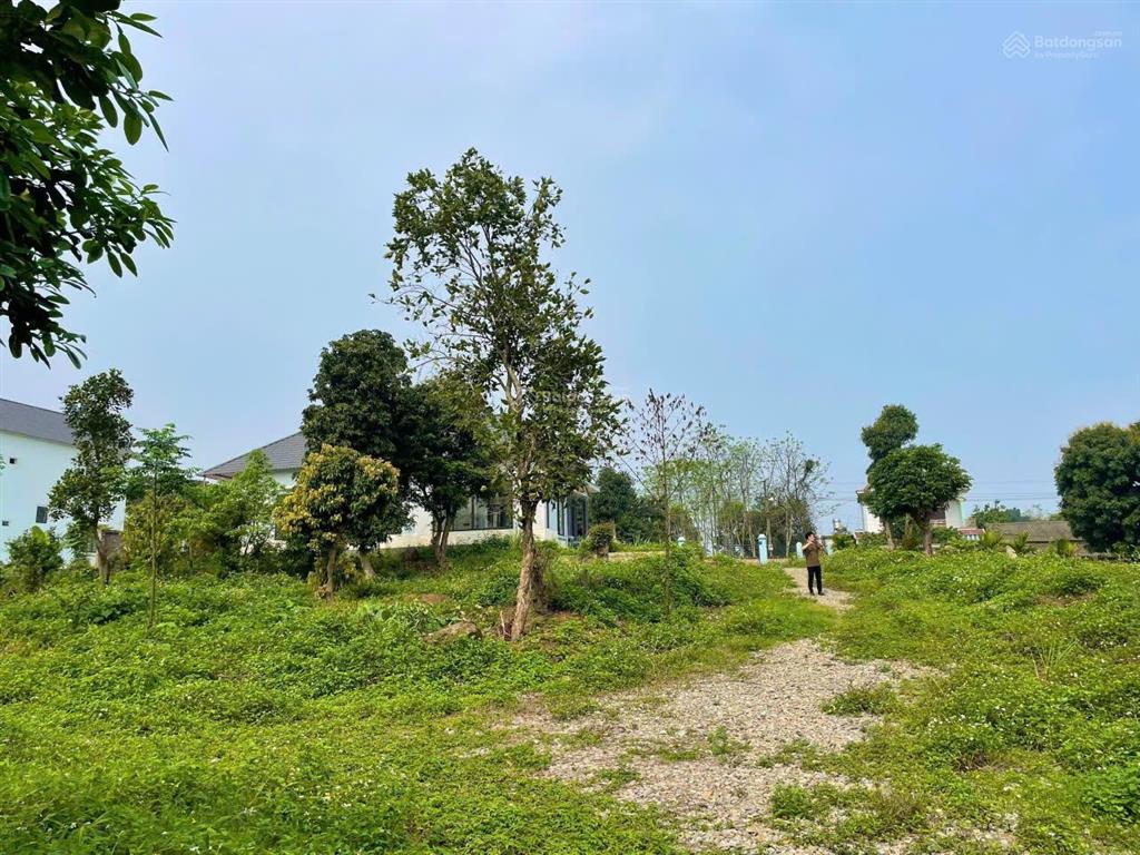 Bán lô đất siêu vip 3100m2 đất bám hồ đồng chanh, có ao thả cá tại lương sơn  hoà bình