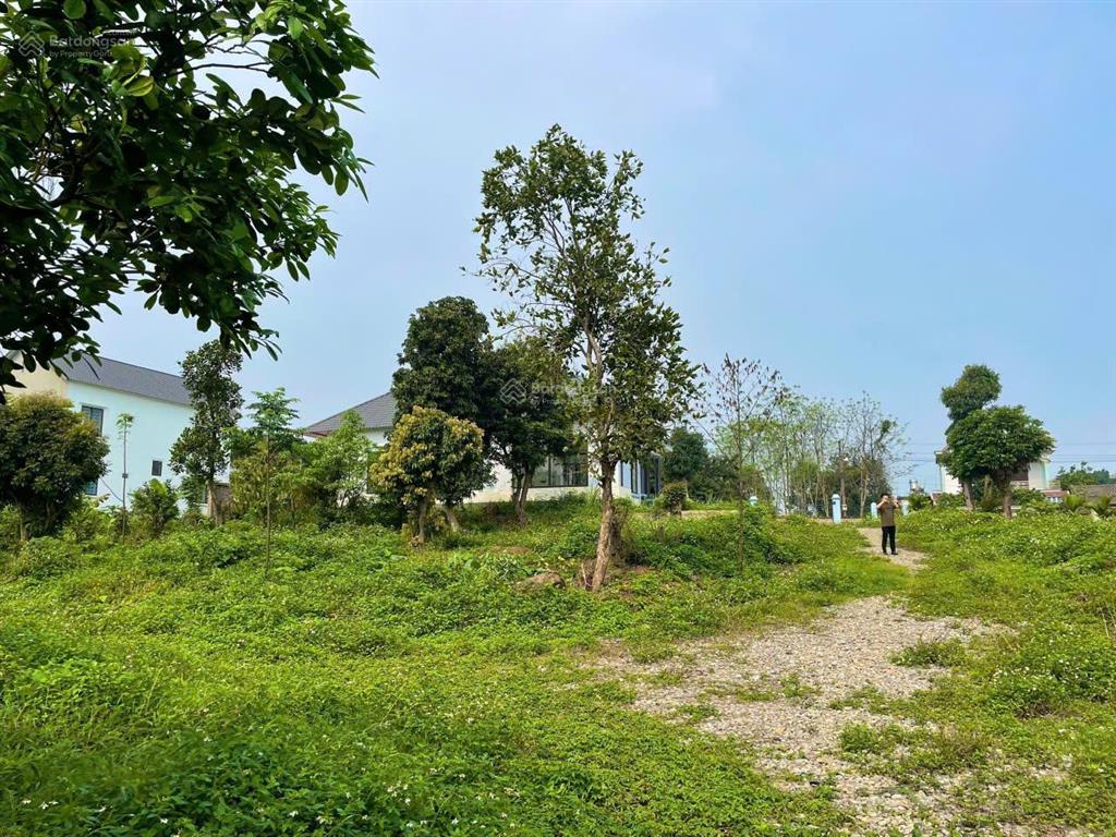 Bán lô đất siêu vip 3100m2 đất bám hồ đồng chanh, có ao thả cá tại lương sơn  hoà bình