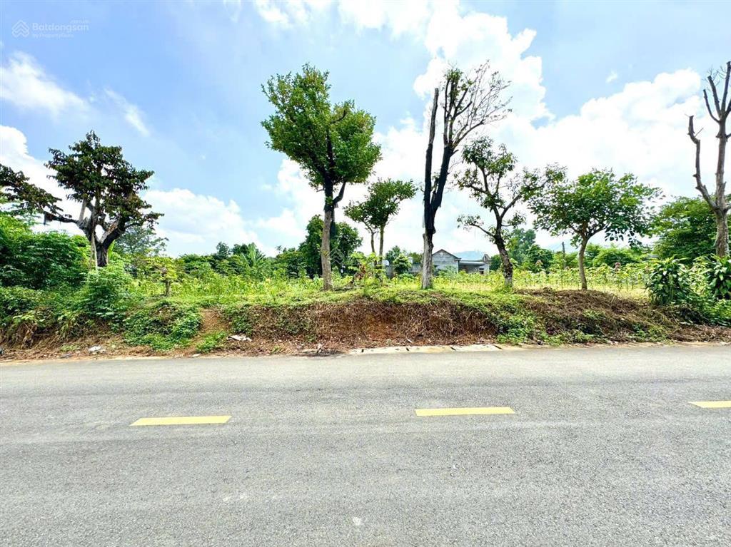 Siêu phẩm   bán nhanh lô góc tại  cư yên lương sơn  hoà bình.