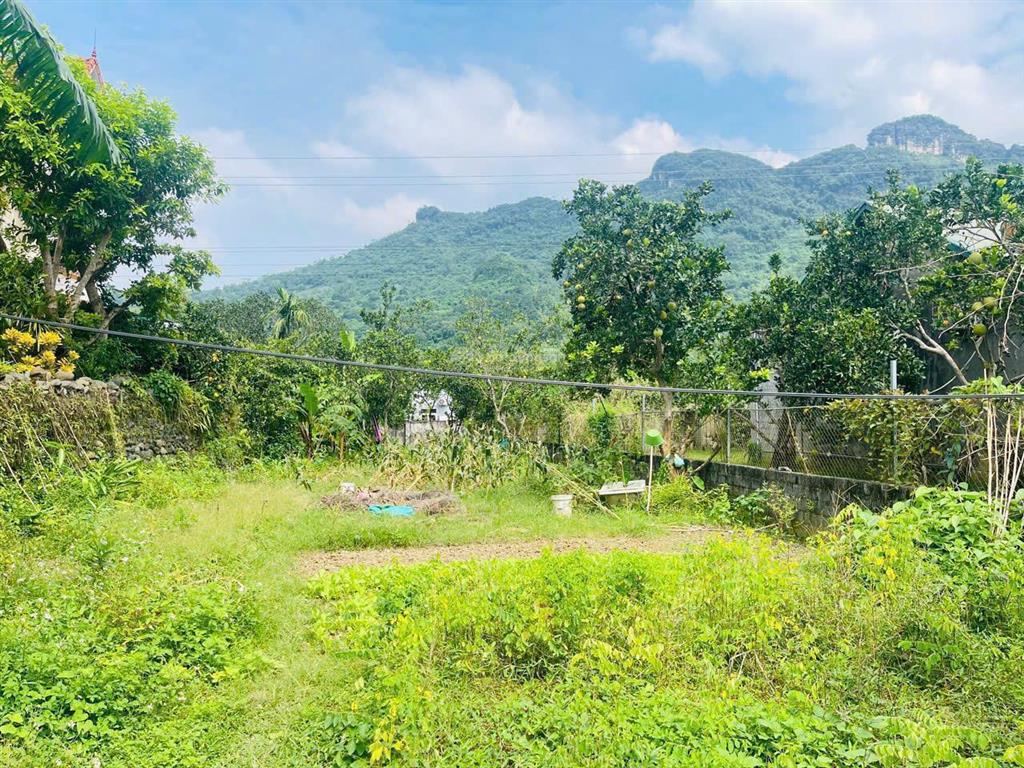 Iá rẻ nhất khu vực  bán nhanh lô đất mặt quốc lộ 6  xã lâm sơn, lương sơn, hòa bình