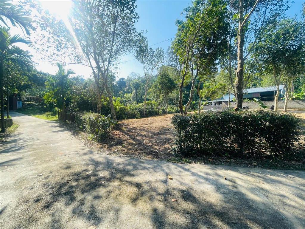 Chuyển nhượng lô góc cực đẹp tại xã tân vinh  lương sơn  hoà bình