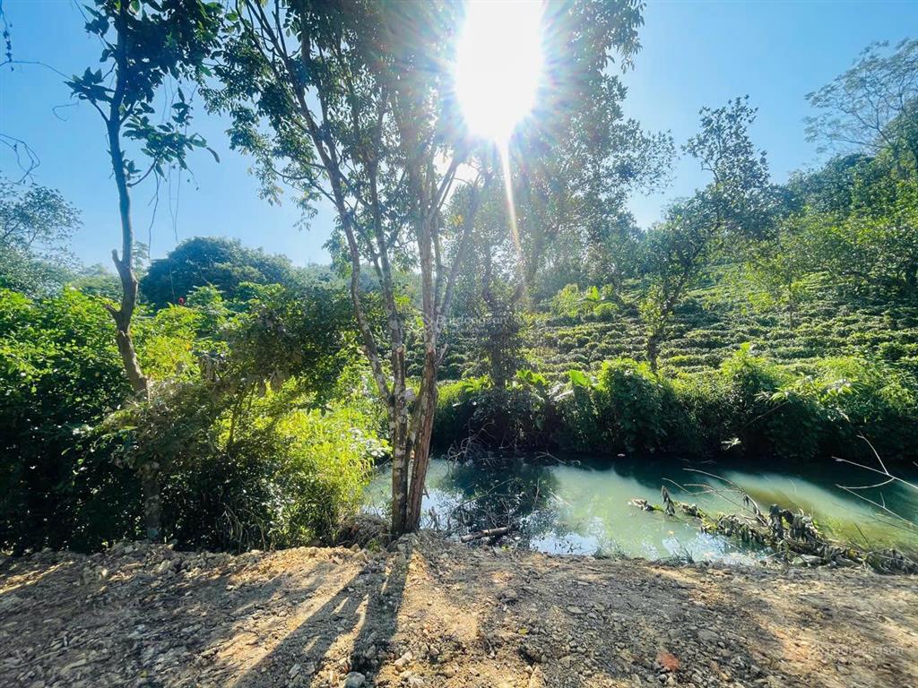 Chuyển nhượng lô góc cực đẹp tại xã tân vinh  lương sơn  hoà bình