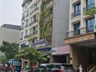 Cho thuê nhà mặt phố nguyễn quốc trị. dt 110m2 x 6,5t mt 7m, tk thông sàn