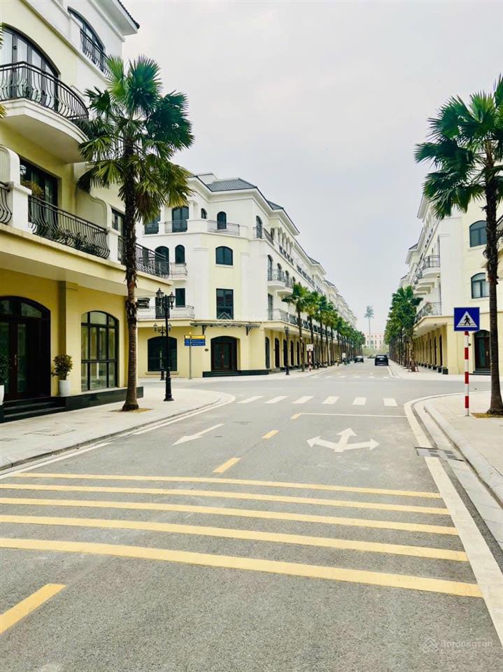 Căn liền kề 48m² giá hời vinhomes ocean park (giá mới nhất)