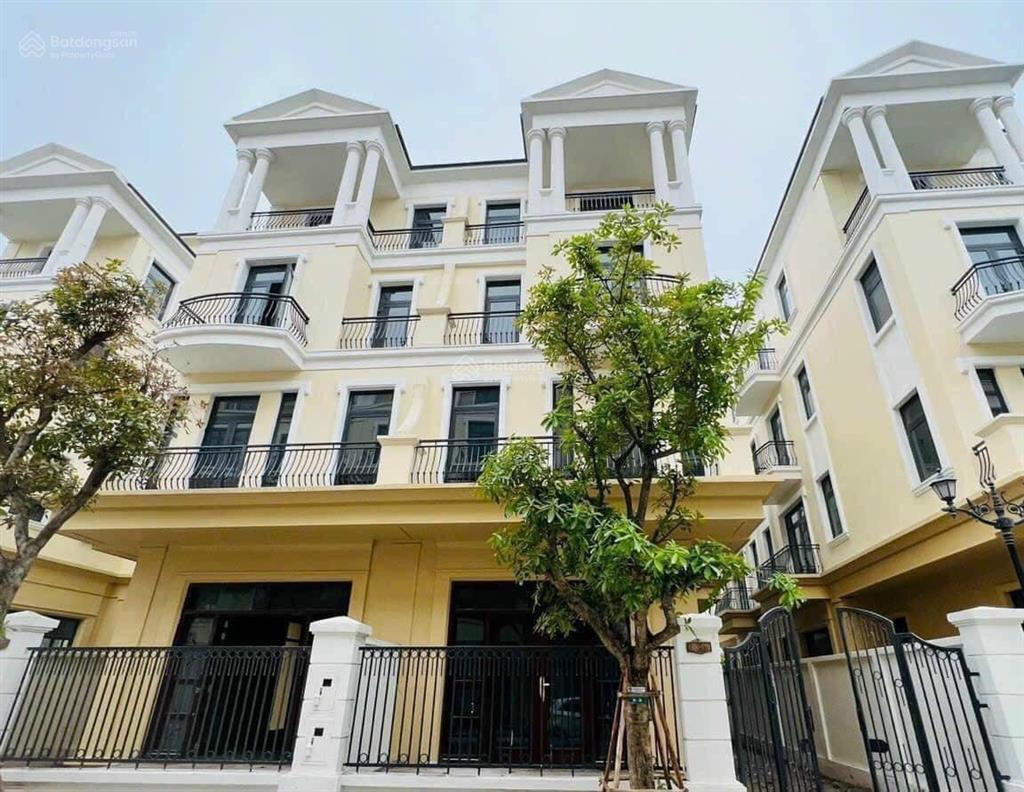 Căn liền kề 48m² giá hời vinhomes ocean park (giá mới nhất)