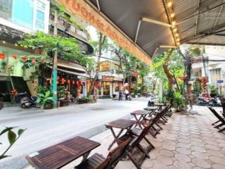 Phân lô nguyên hồng, ô tô tránh đỗ, vỉa hè rộng, kinh doanh, 70m2 mt 5.6m giá 28 tỷ