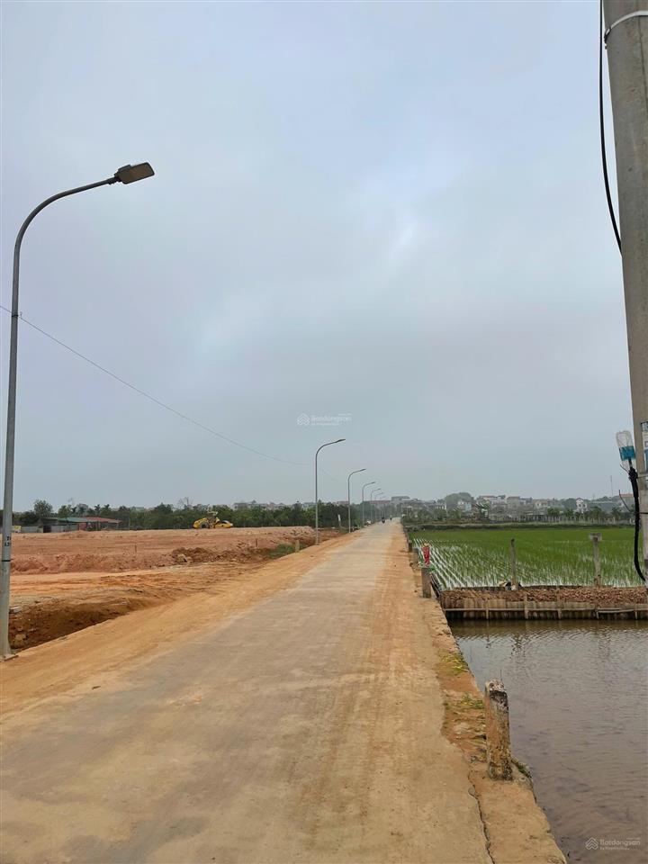 Khu đất phân lô đẹp nhất phúc thọ, hà nội, 143m2 mt 8m đấu giá ngọc tảo giá hợp lý
