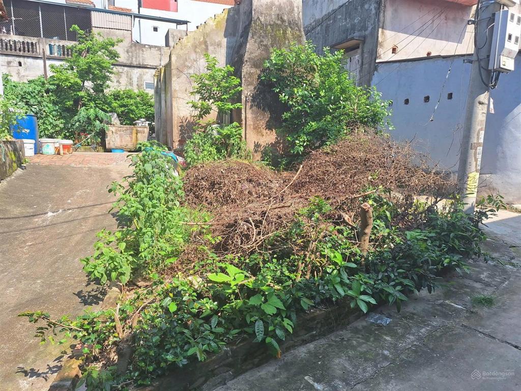 Lô góc 3 mặt thoáng ôtô thông, sát hồ điều hòa 80m2 đất tam thuấn, phúc thọ, hà nội. 0975 102 ***