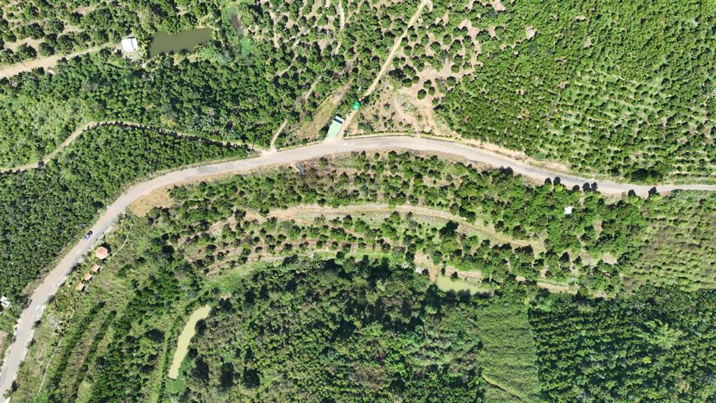 Bán đất 4158m2 tại tân lạc, bảo lâm, lâm đồng giá 1,4 triệu / m2