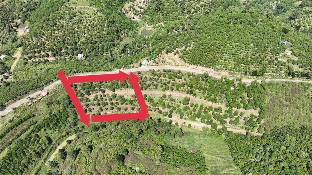 Bán đất 4158m2 tại tân lạc, bảo lâm, lâm đồng giá 1,4 triệu / m2