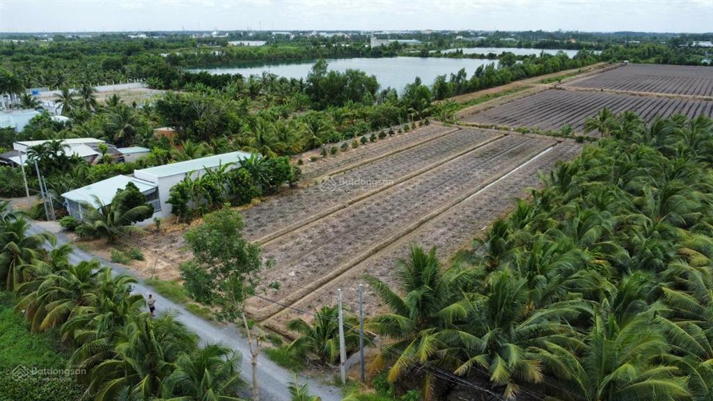 Chủ cần bán 2800m2 (30x93m) đất hnk mt sông rạch vông ấp 10 xã lương hoà bến lức long an