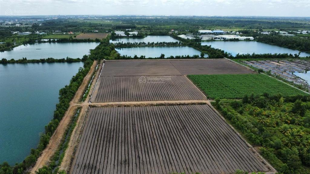 Chủ cần bán 2800m2 (30x93m) đất hnk mt sông rạch vông ấp 10 xã lương hoà bến lức long an