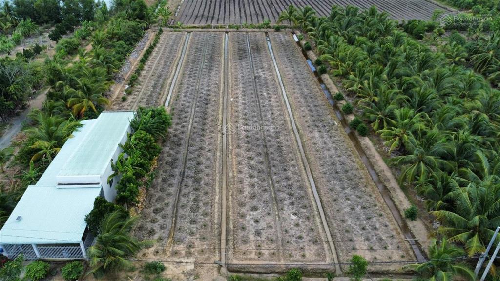 Chủ cần bán 2800m2 (30x93m) đất hnk mt sông rạch vông ấp 10 xã lương hoà bến lức long an