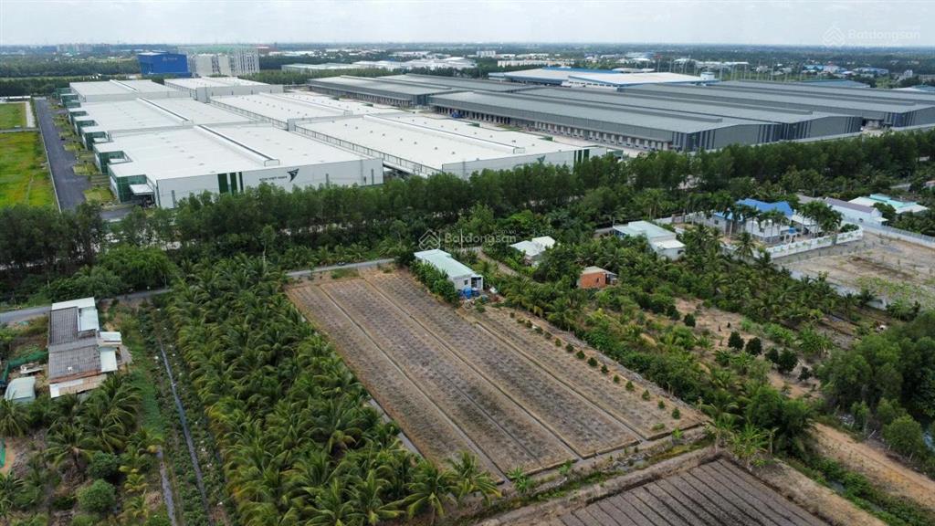 Chủ cần bán 2800m2 (30x93m) đất hnk mt sông rạch vông ấp 10 xã lương hoà bến lức long an