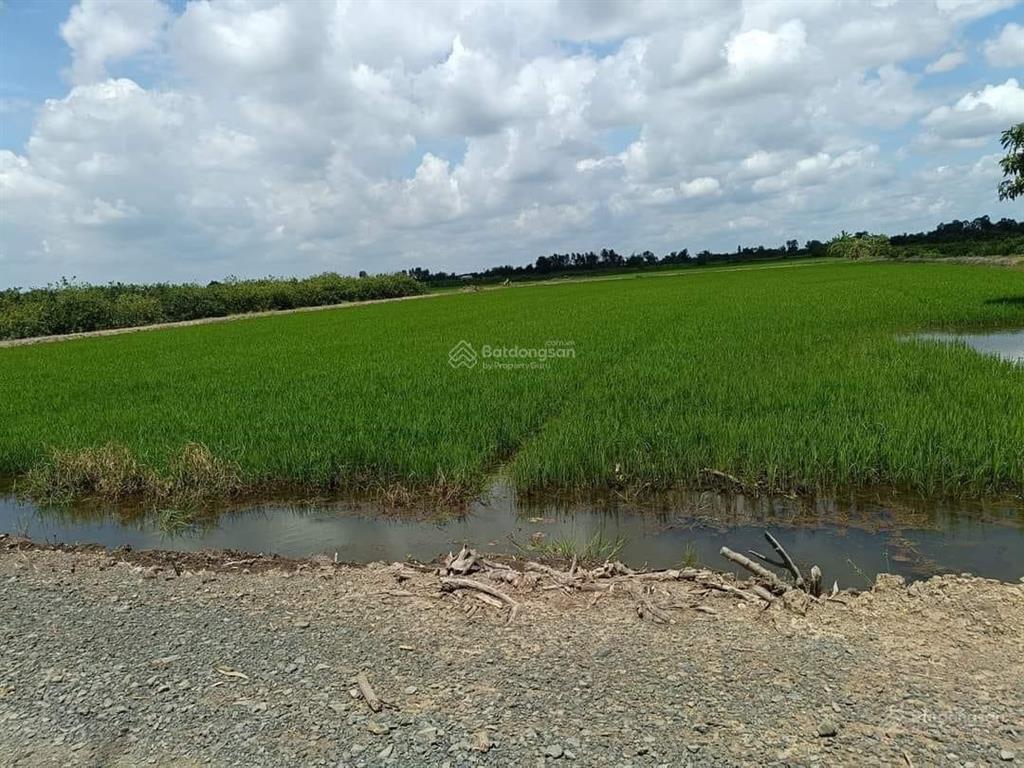 Chủ cần bán 15.000m đất hnk. mặt tiền kênh 6 ấp 3 xã tân hòa bến lức long an