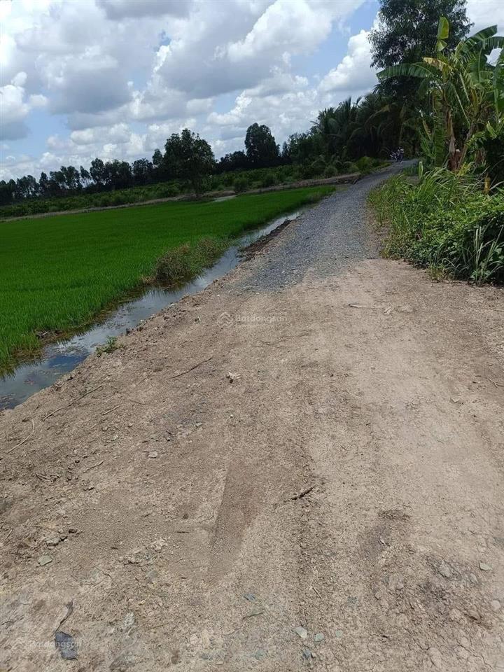 Chủ cần bán 15.000m đất hnk. mặt tiền kênh 6 ấp 3 xã tân hòa bến lức long an