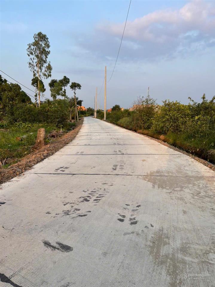 Chủ cần bán 2500m2 đất lúa.  ấp 10 xã lương hoà huyện bến lức tỉnh long an