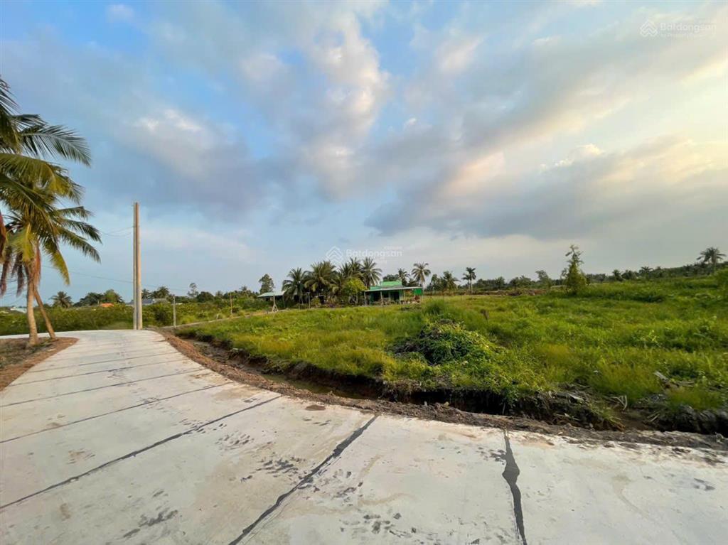 Chủ cần bán 2500m2 đất lúa.  ấp 10 xã lương hoà huyện bến lức tỉnh long an