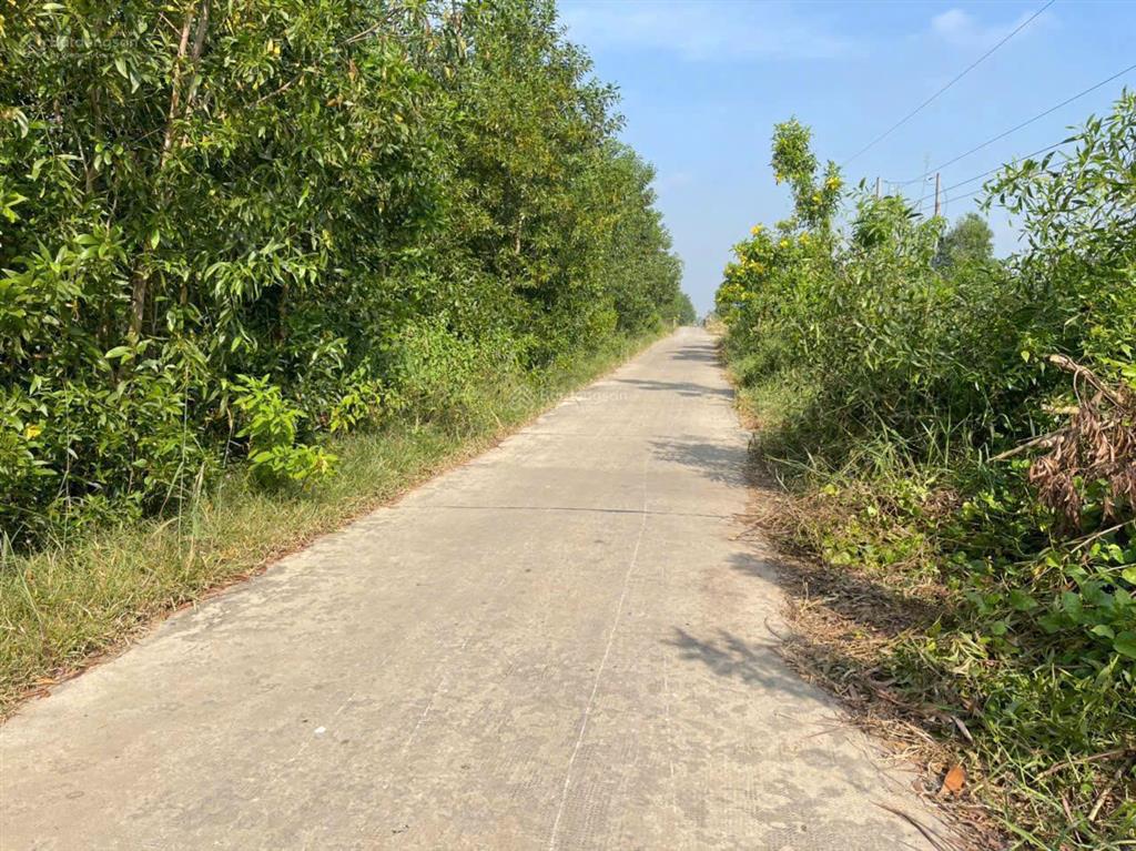 Chủ cần bán đất hnk xã lương hoà, tỉnh tây ninh thích hợp mua xây nhà vườn nghỉ dưỡng hoặc đầu tư