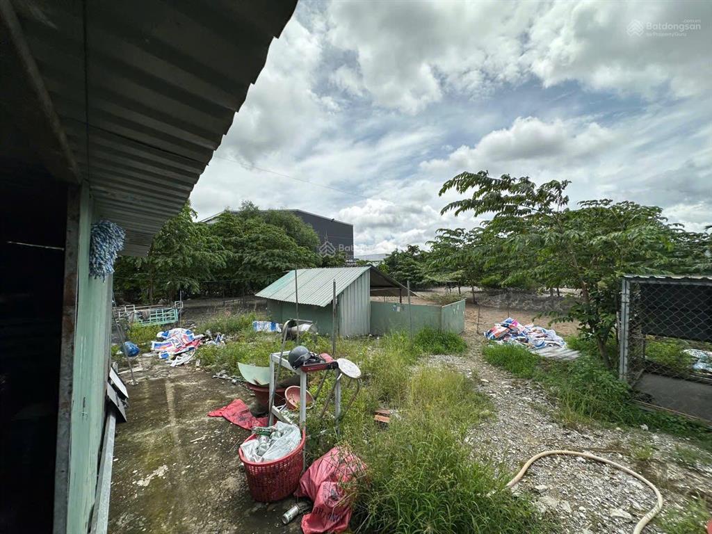 Chủ cần bán đất thổ cư và đất lúa. 5100m2 (bến lức  long an)