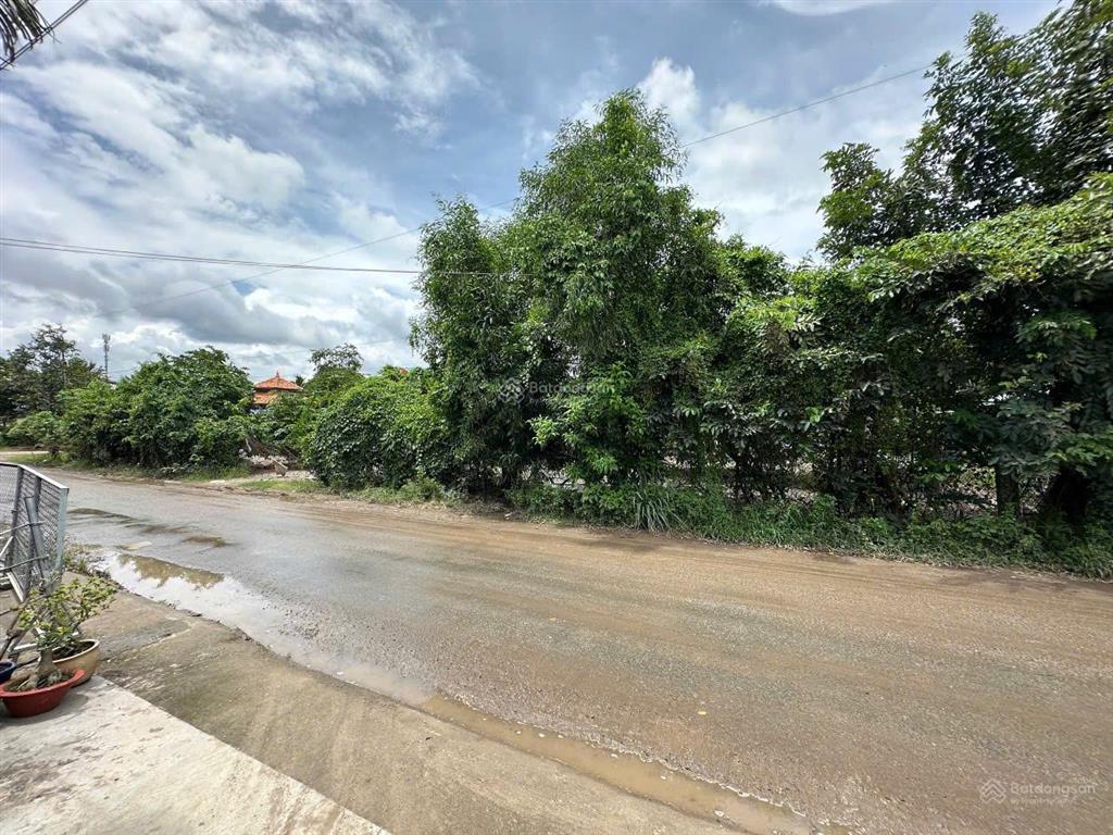 Chủ cần bán đất thổ cư và đất lúa. 5100m2 (bến lức  long an)