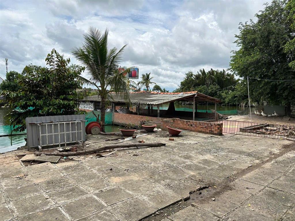 Chủ cần bán đất thổ cư và đất lúa. 5100m2 (bến lức  long an)