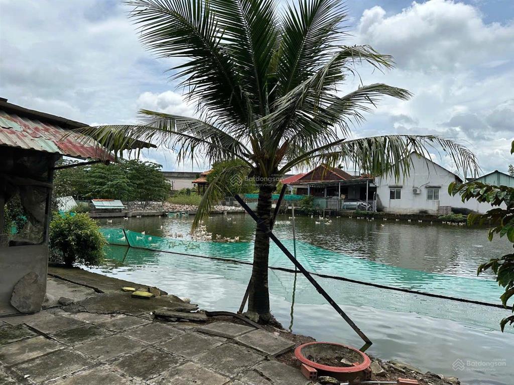 Chủ cần bán đất thổ cư và đất lúa. 5100m2 (bến lức  long an)