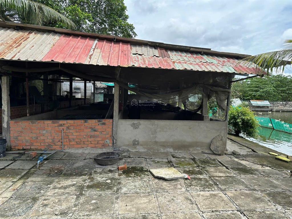 Chủ cần bán đất thổ cư và đất lúa. 5100m2 (bến lức  long an)