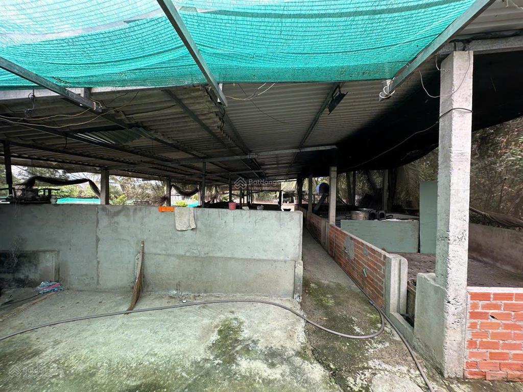 Chủ cần bán đất thổ cư và đất lúa. 5100m2 (bến lức  long an)