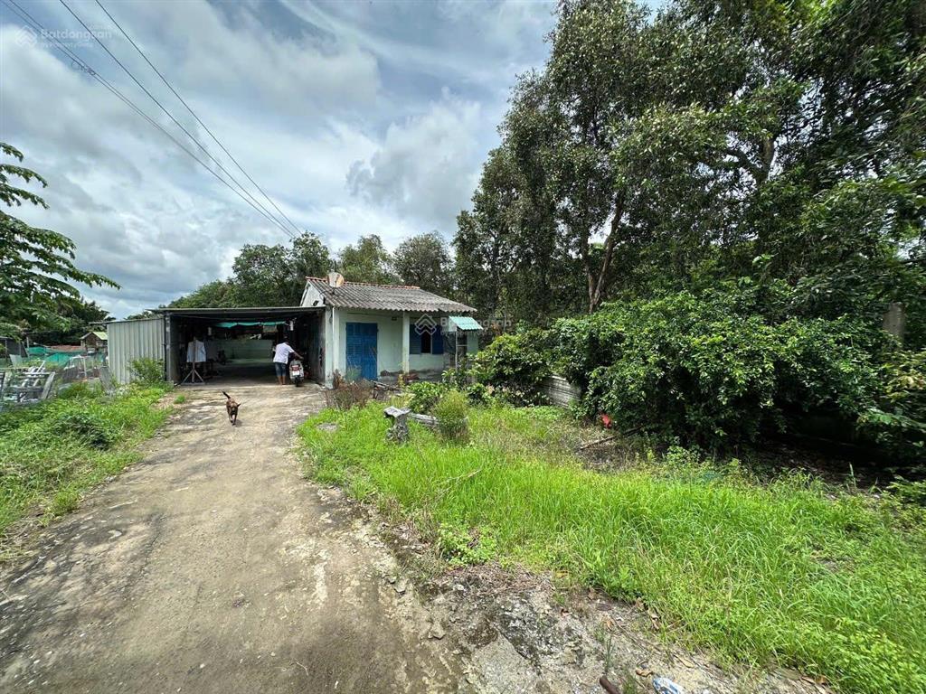 Chủ cần bán đất thổ cư và đất lúa. 5100m2 (bến lức  long an)