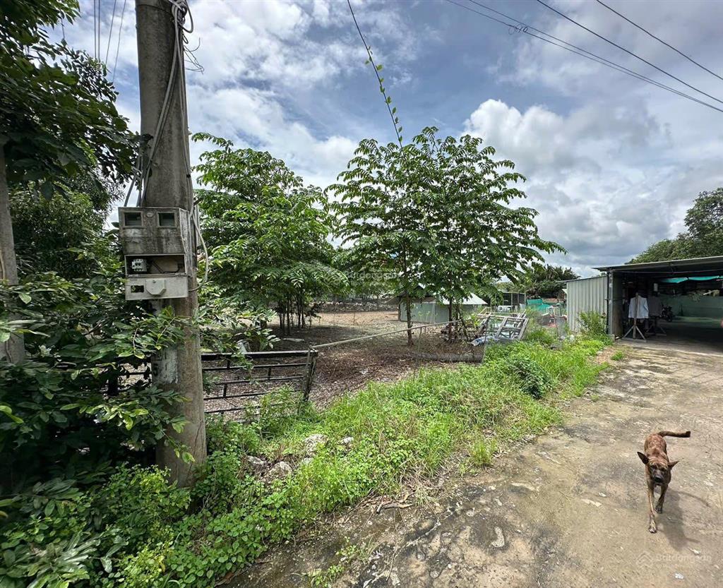 Chủ cần bán đất thổ cư và đất lúa. 5100m2 (bến lức  long an)